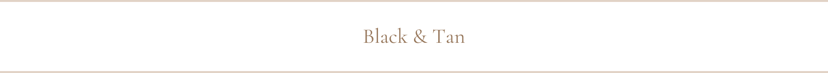 Black & Tan