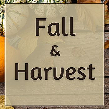 Fall & Harvest