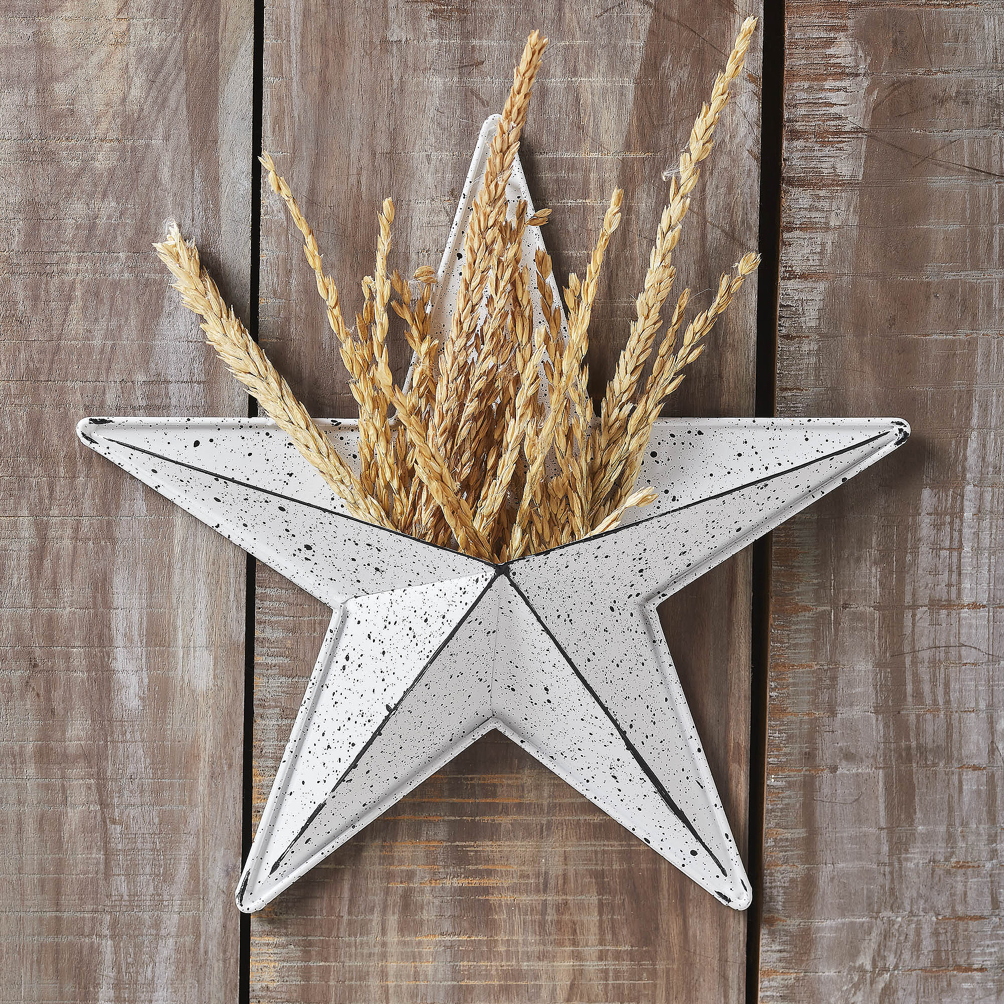 Signs & Wall Decor