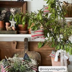 My Country Flag Ornament Bowl Filler Set of 8 3x5