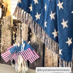 My Country American Flag Picks Set of 3 10.5x6