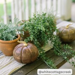 Heirloom Wooden Pumpkin Chestnut 6.5x7x7